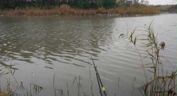 钓鱼人太牛！大风大雨中垂钓也能迎来鲤鲫大丰收