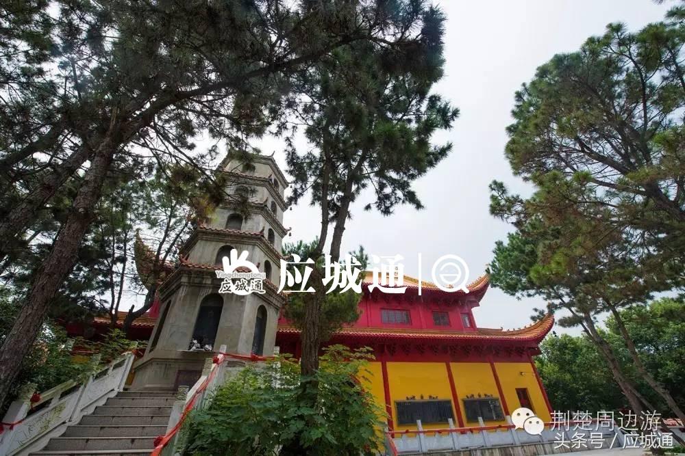 应来之城全景图片,中国湖北应城