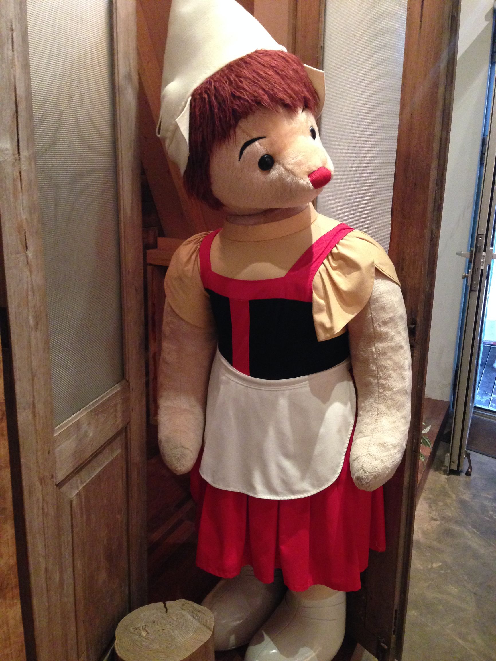 济州岛泰迪熊韩服,济州岛泰迪熊动物世界