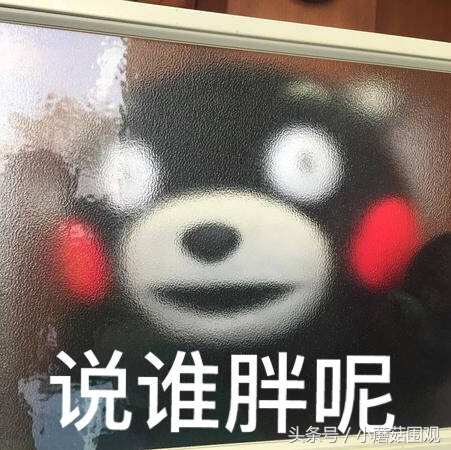 海淘奶粉哪个平台最靠谱,海淘哪个国家最便宜