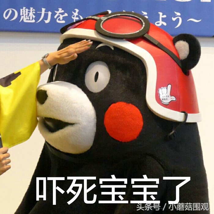 海淘奶粉哪个平台最靠谱,海淘哪个国家最便宜