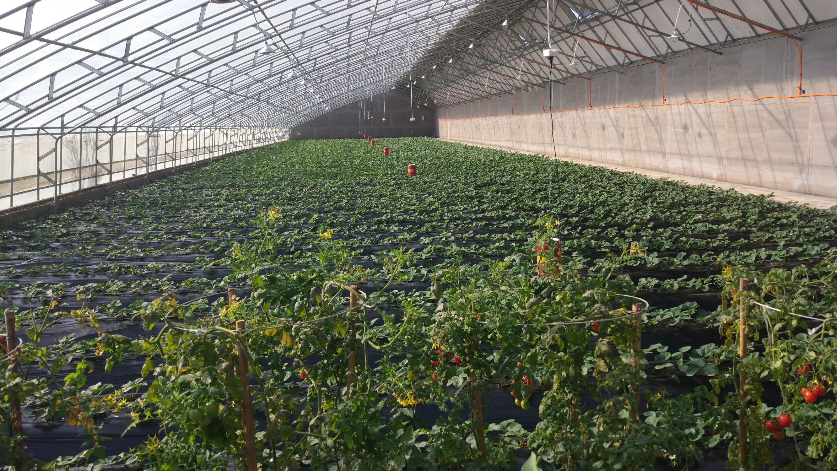 青州赤涧村数字乡村建设心得体会,青州弥河赤涧村