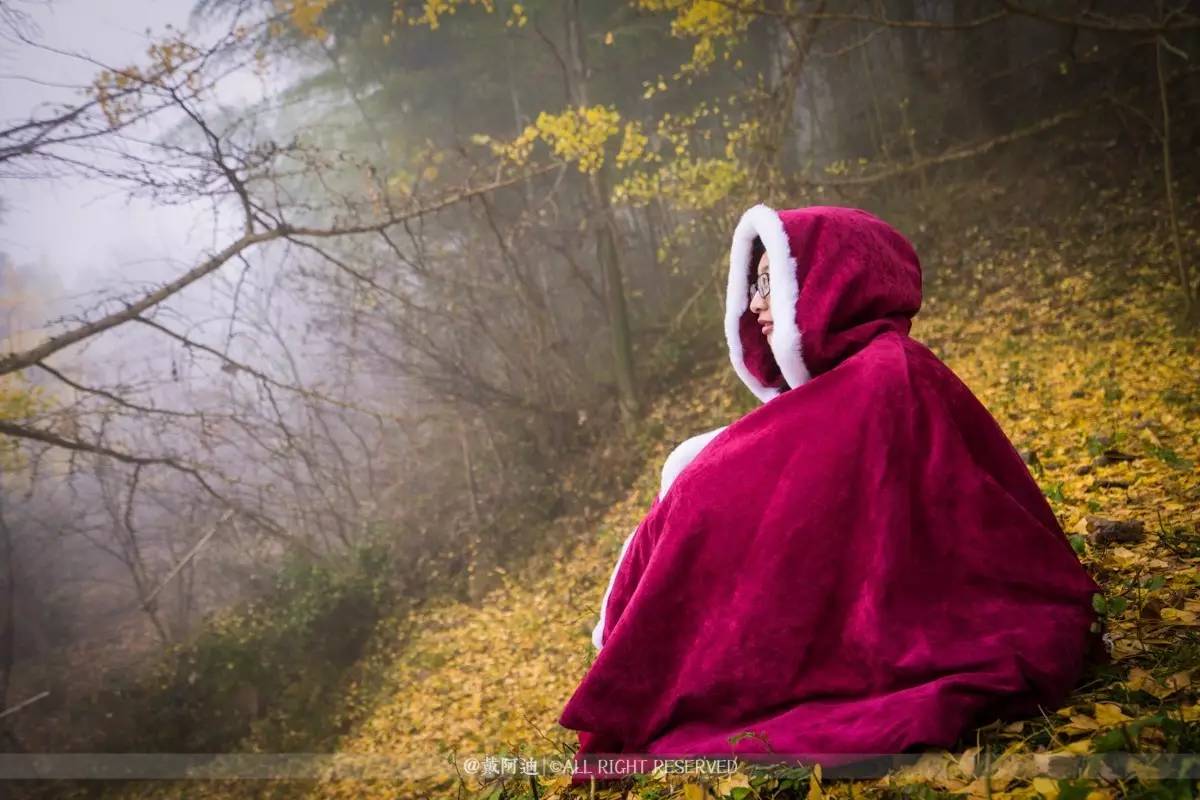 今年最后银杏金秋，现在出发还来得及！