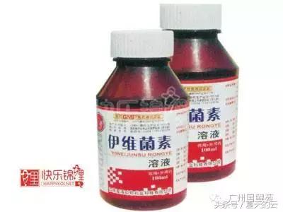 养鱼的专业助手,那些你不知道的有趣软件