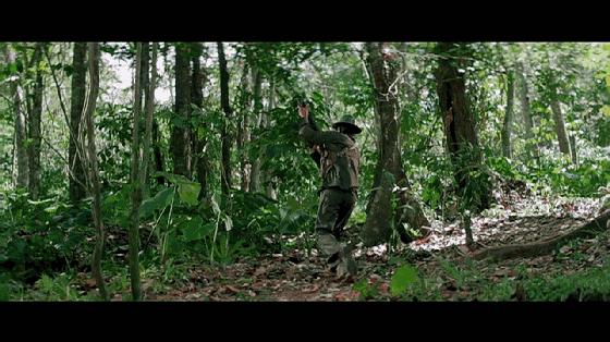 东方秃鹰洪金宝完整视频,东方秃鹰洪金宝的作品大全