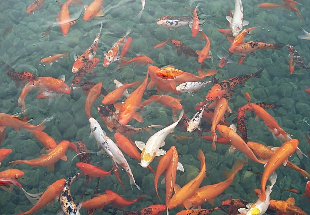 这里有十个家伙快把机场安检工作人员给吓出焦虑症了