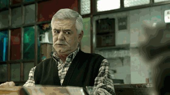 猫奴最多的国家,各国猫奴的生活