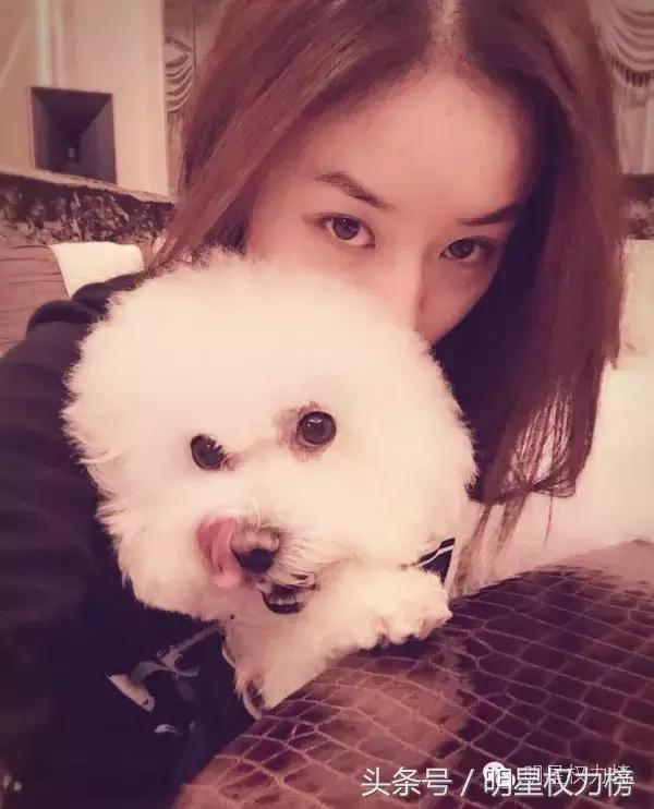 明星自拍除了卖萌还会搞怪！鹿晗TFBOYS教你自拍的正确姿势