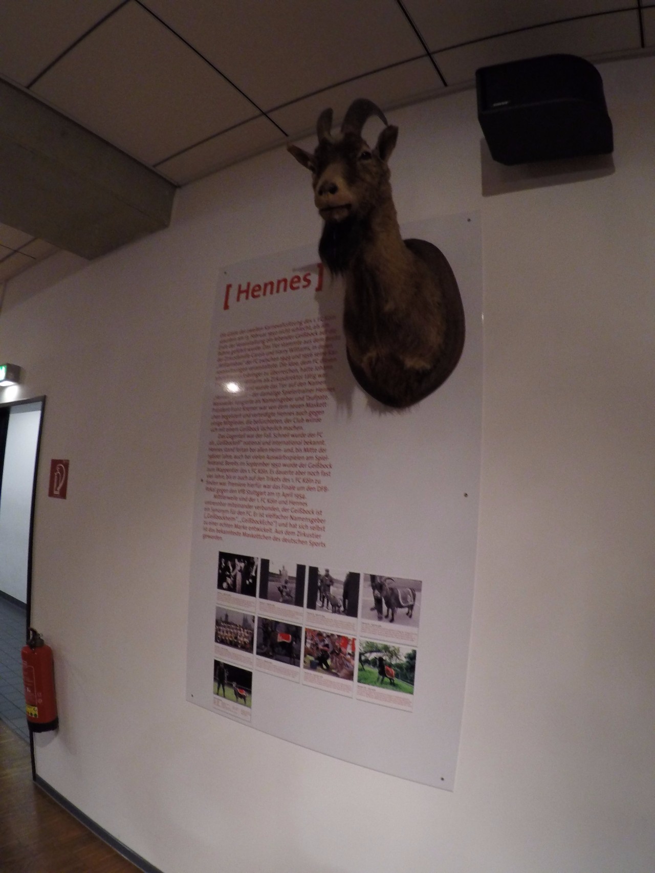 德国之旅慕尼黑,德国足球欧洲杯赛