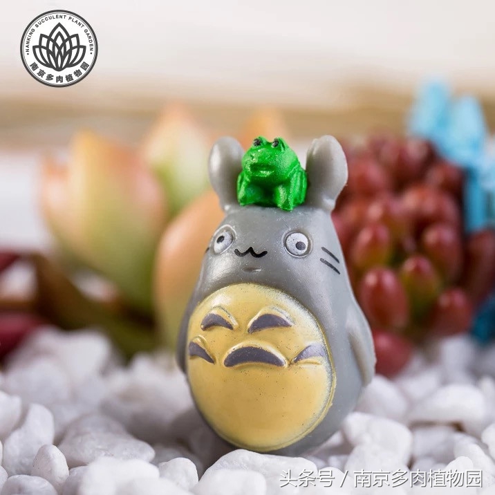 乐高积木成人款植物多肉,小玩具乐高