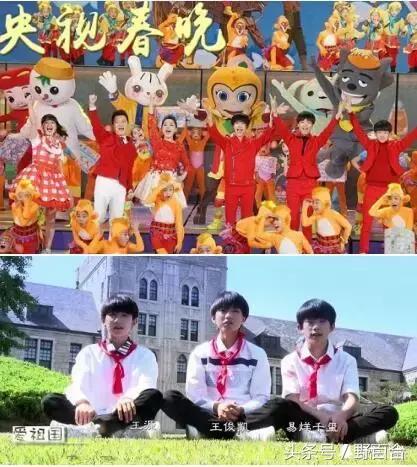 sunshine组合现在怎样了,sunshine最惨组合