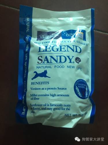 金毛从成年开始养,金毛养成