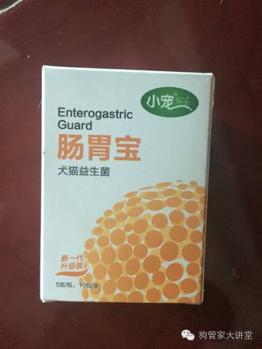 金毛从成年开始养,金毛养成