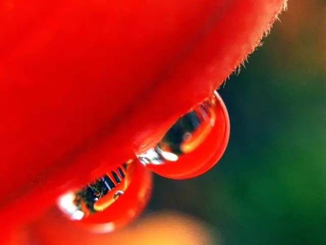 2024手机摄影大赛获奖作品,让你惊艳的手机摄影获奖作品