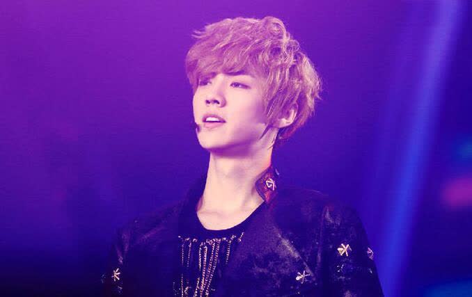 王菲谢霆锋直播完整,王菲演唱会用vr直播