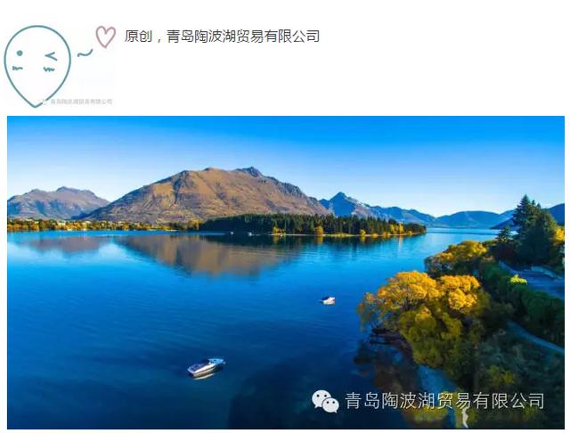 关于新西兰的人文地理知识,新西兰植物