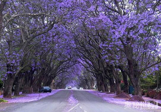 世界上最美的地方,世界上最美的地方是什么样的
