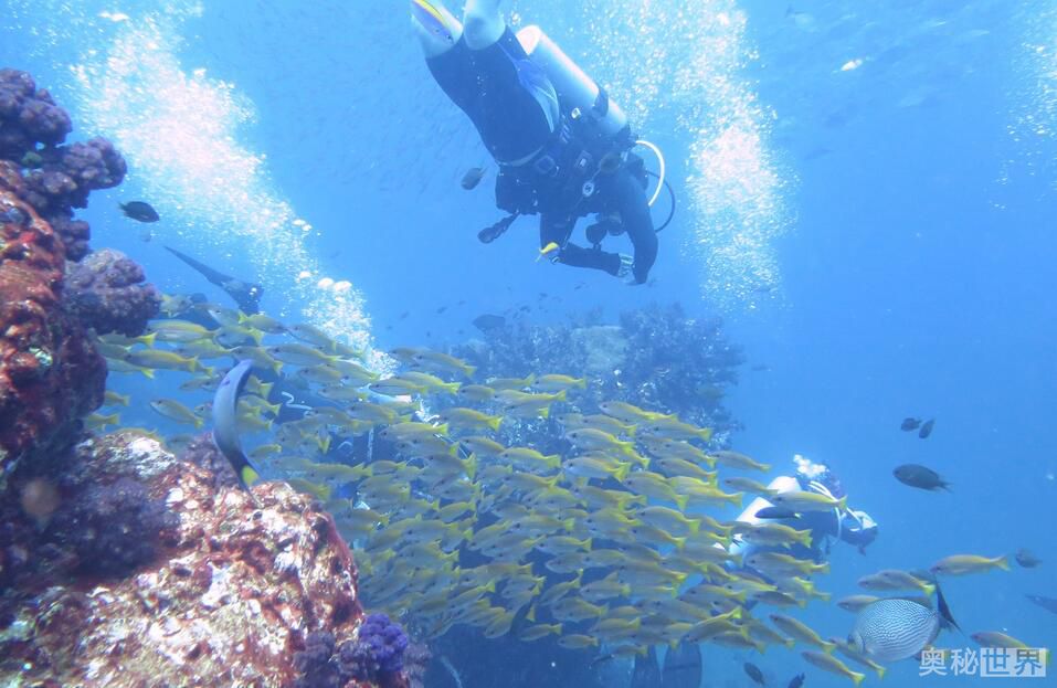 世界上最美的地方,世界上最美的地方是什么样的