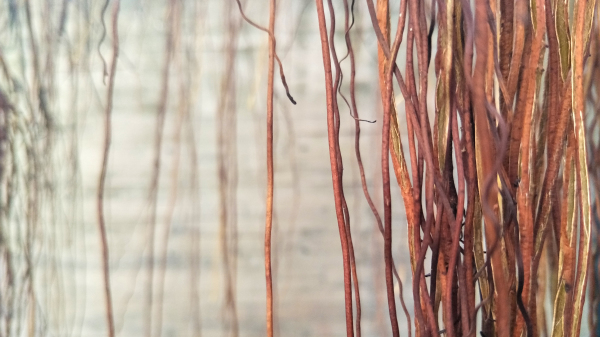 拍照体验好的手机,opporeno7pro拍照评测