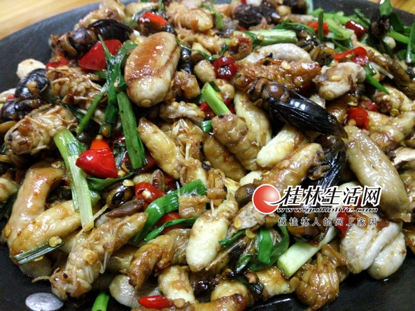 大虎头蜂养殖基地,灌阳养蜂人