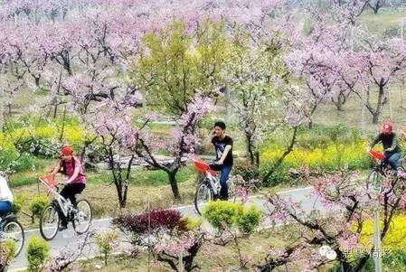 震撼，26个英文字母里竟然隐藏着惠山文体元素！