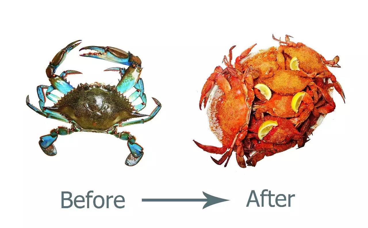 华盛顿特区美食攻略,华盛顿吃喝