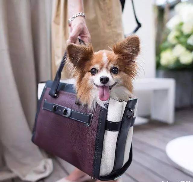 捂紧钱包不乱花,捂紧钱包勒紧裤腰过日子