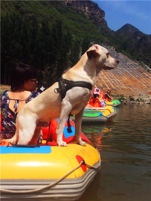 嬉水节巡游活动现场,嬉水节活动总结