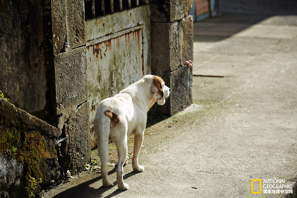 侠骨柔情展现的淋漓尽致,侠骨柔情温柔似水