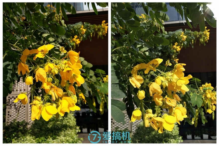 vivox9拍照技术怎么样,vivox9s柔光双摄报价