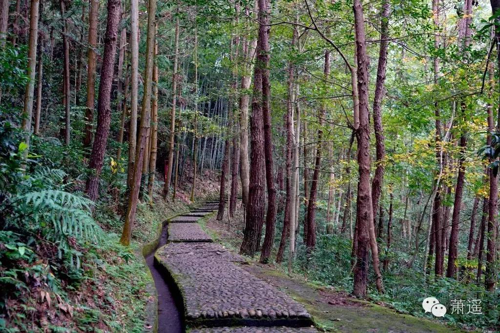 与外国人无障碍交流方法,跟外国人聊天语言不通怎么办