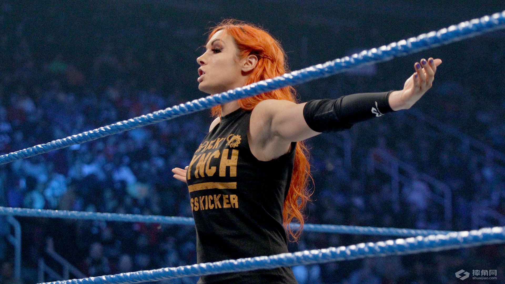 WWE驸马爷风云决战RVD！凯恩抛摔毕雪夫获全场欢呼！