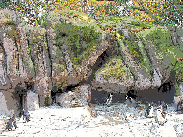 奥林巴斯e-pl8可以自拍吗,奥林巴斯epl8拍的照片