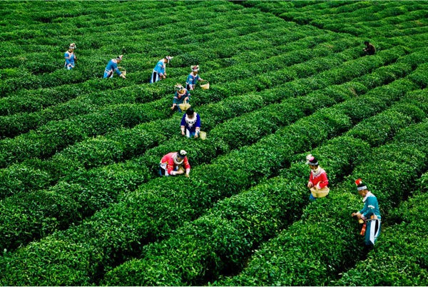 五年铿锵前行黔南大有作为：10张图背后的故事