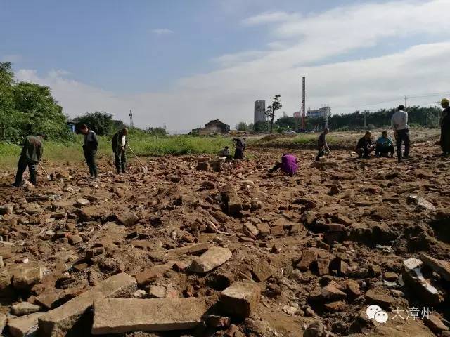 土里面挖出来的古钱币能售卖吗,一村民挖到古钱币专家出千万回收