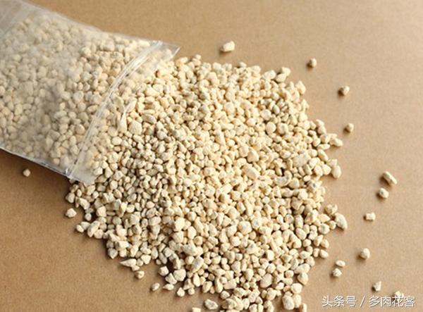 粗河沙可以当多肉的铺面石吗,多肉铺面石用小石子可以吗