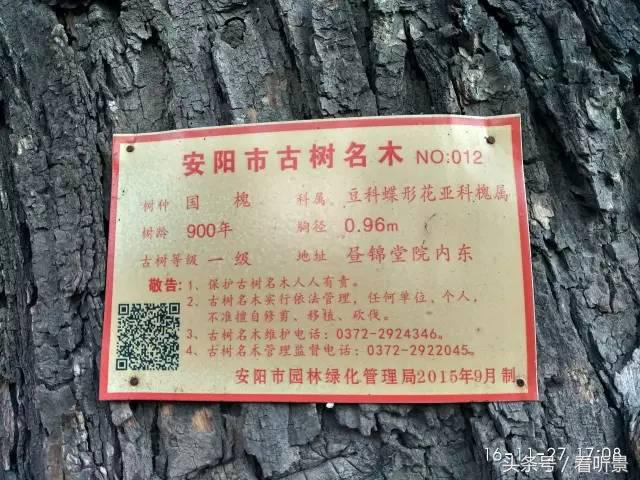 安阳市北关区昼锦堂学校介绍,安阳古代书院