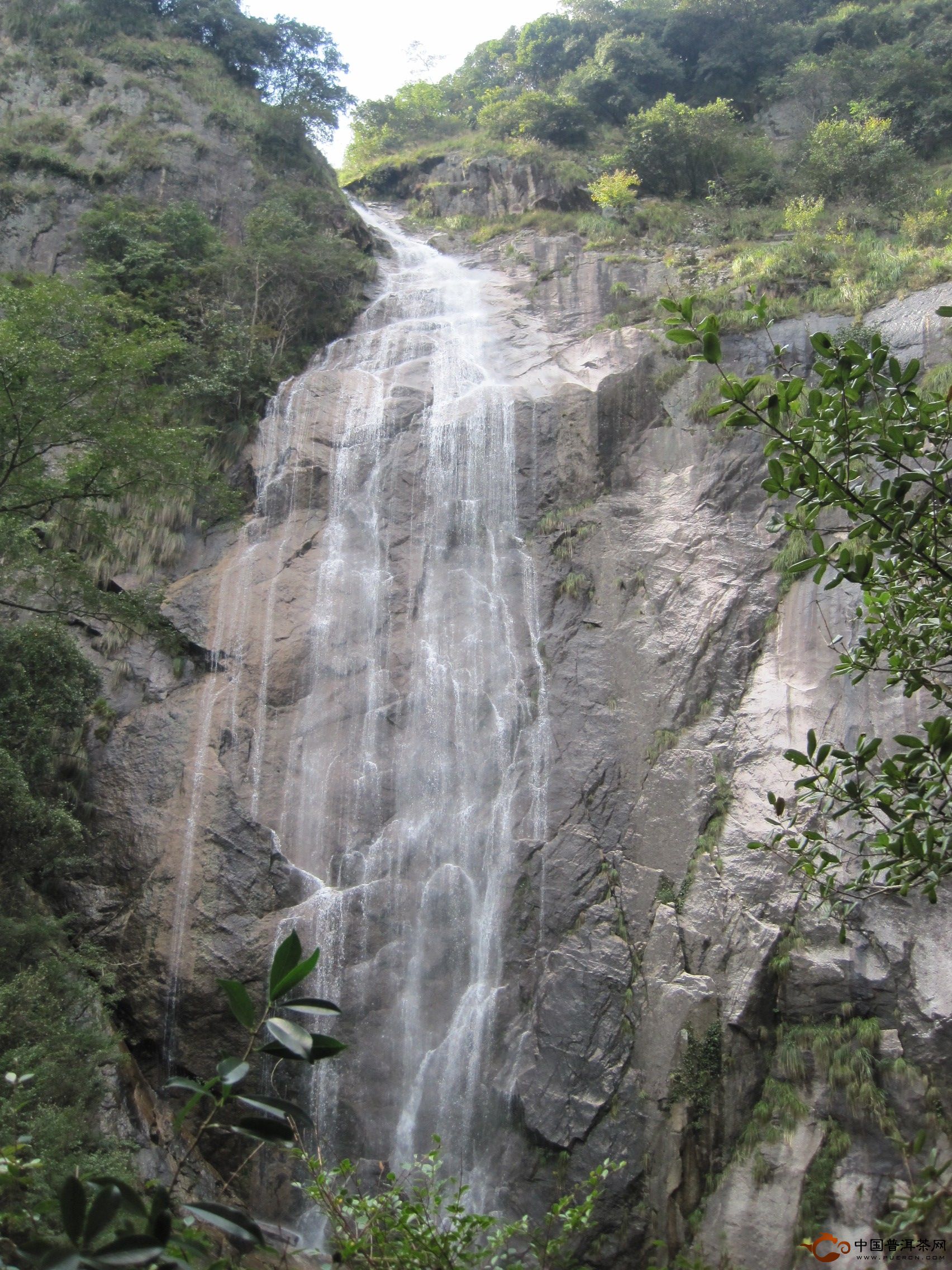 藏在深山无人识,石台县原始森林