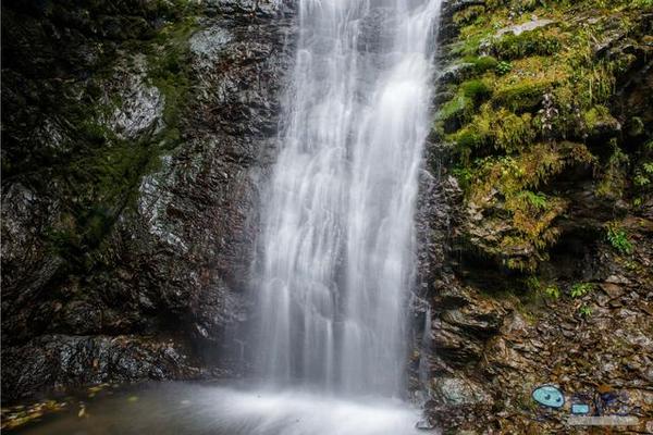 戏猴、爬山、观瀑布，那就跟我去卧龙谷！