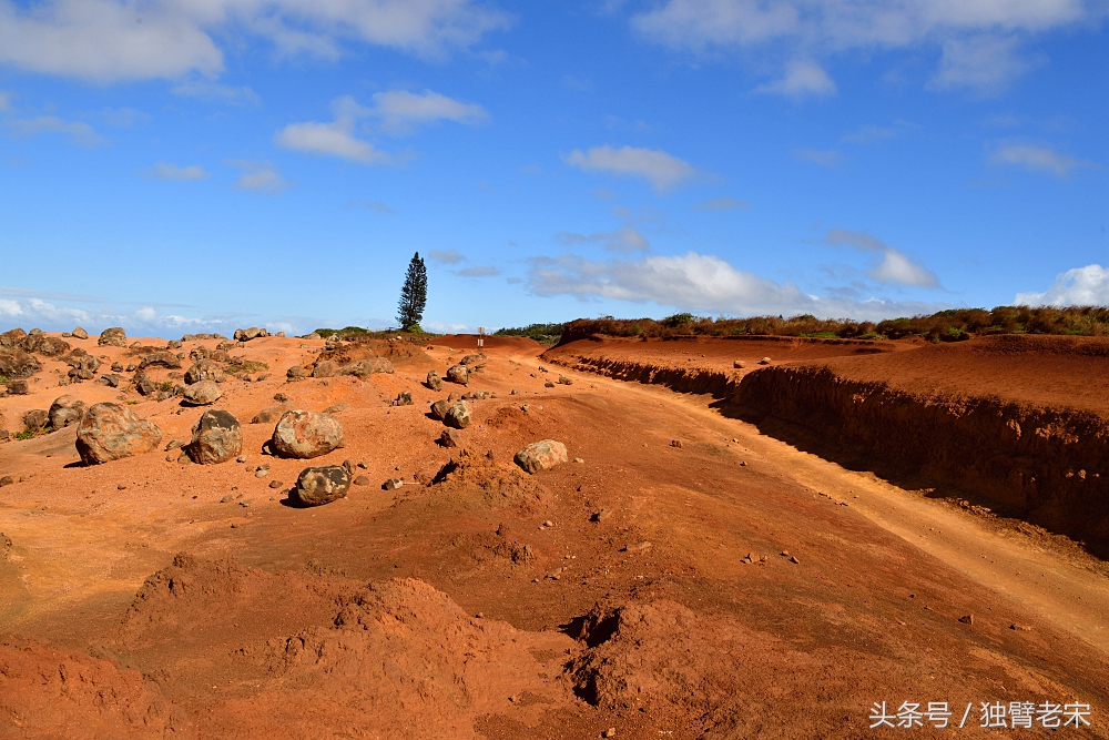 夏威夷｜风之魔力，火山星球