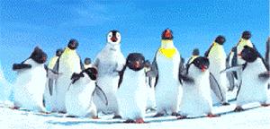 龙宫大白鲸嬉水世界淮安亲子门票,淮安龙宫大白鲸嬉水世界游玩项目