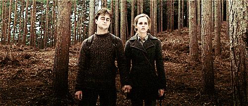 神奇动物中的咒语都有哪些,神奇动物50个常识