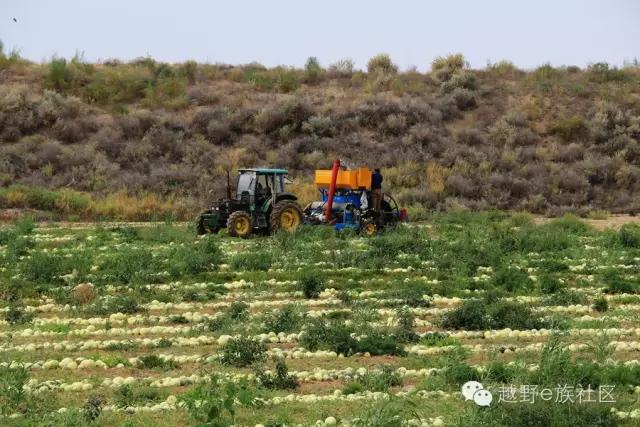 开着房车旅行说走就走,说走就走出去玩视频