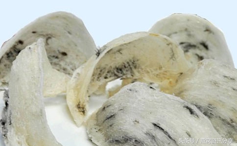 燕窝怎样吃是最佳效果,孕妇可以吃燕窝的功效与作用禁忌