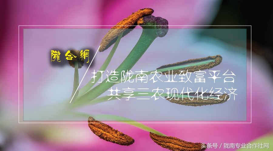 家庭农场营业执照验资,家庭农场验资报告