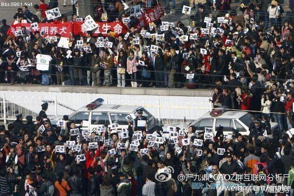 大狗黑色黄色,大狗黑灰色