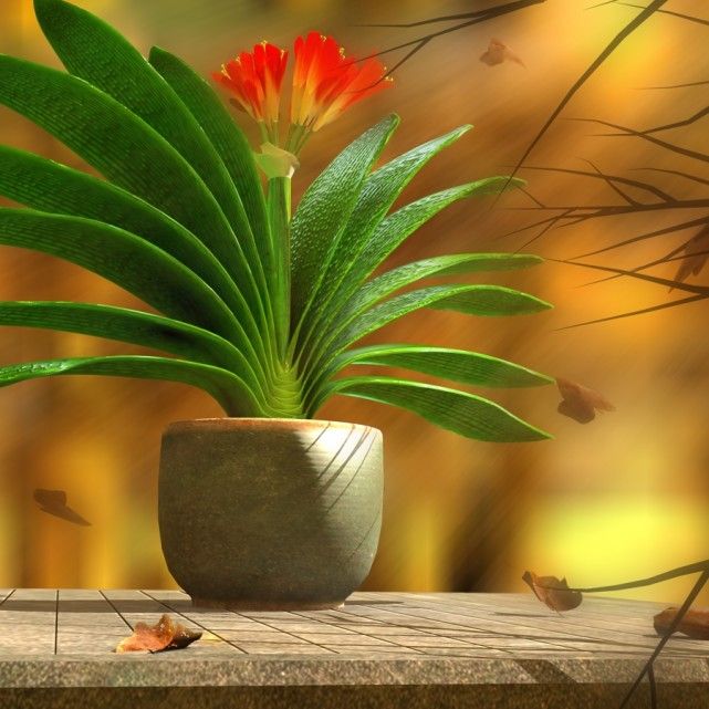 盆花叶子发黄怎么处理,养花叶子发黄处理方法