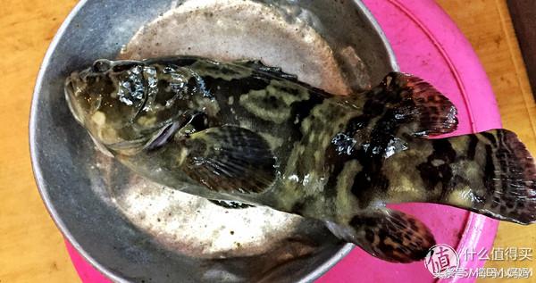 仙本那考潜水证日程,去仙本那潜水要考什么证