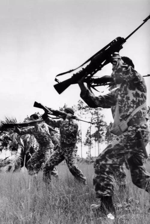 飞蛾事件,飞蛾扑火事情