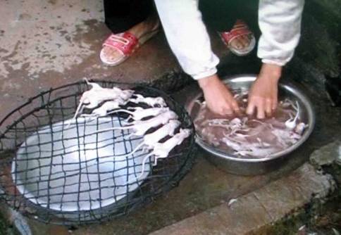 三明这些美食虽然有点吓人但更美味！